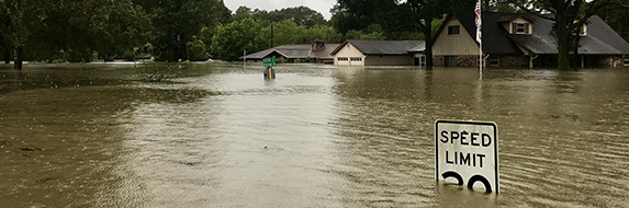 Flooded Neighborhood